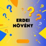 erdei növény