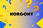 horgony