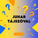 juhar tájszóval