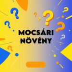mocsári növény